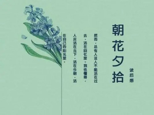 朝花夕拾经典摘抄