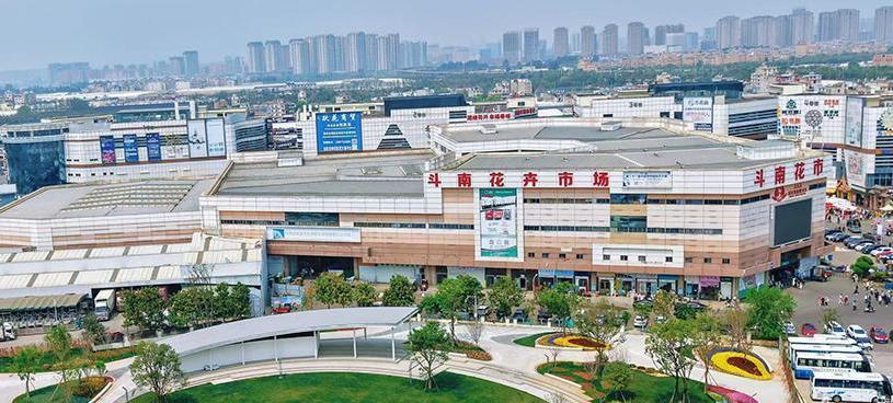 斗南花卉市场