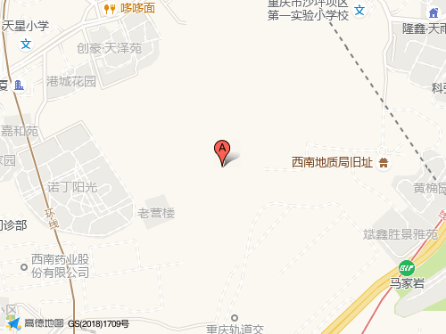 沙坪坝区地图