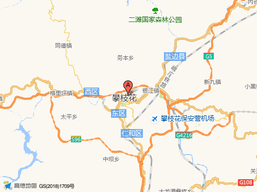 攀枝花地图